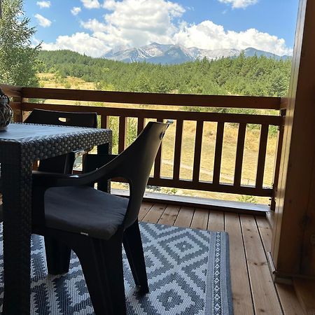 Pm Mountain View Fireside Retreat Bansko Apartman Kültér fotó