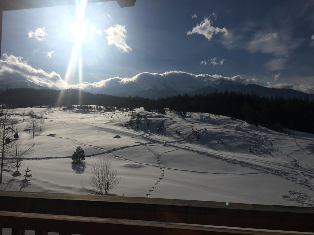 Pm Mountain View Fireside Retreat Bansko Apartman Kültér fotó